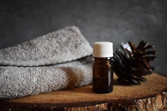 The Essential Home Gadgets for Modern Living