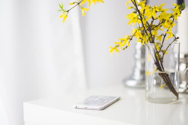 Top Smart Home Gadgets Revolutionizing Everyday Tasks